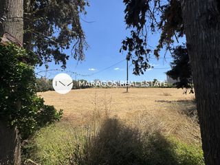 Αγροτεμάχια 2.820 τ.μ. πρός πώληση, Αργολίδα, Νέα Κίος-thumb-14
