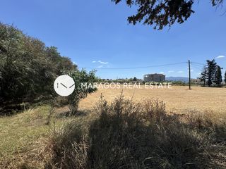 Αγροτεμάχια 2.820 τ.μ. πρός πώληση, Αργολίδα, Νέα Κίος-thumb-8