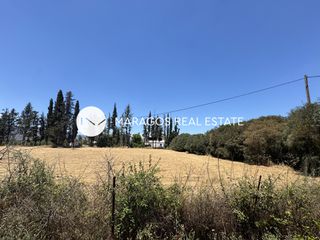 Αγροτεμάχια 2.820 τ.μ. πρός πώληση, Αργολίδα, Νέα Κίος-thumb-6