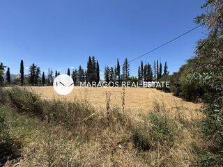 Αγροτεμάχια 2.820 τ.μ. πρός πώληση, Αργολίδα, Νέα Κίος-thumb-5