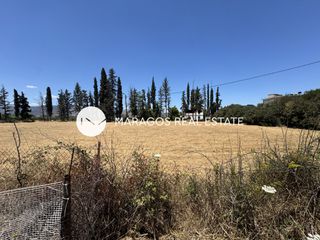 Αγροτεμάχια 2.820 τ.μ. πρός πώληση, Αργολίδα, Νέα Κίος-thumb-3