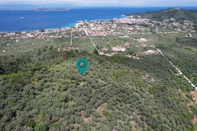 Αγροτεμάχια 912 τ.μ. για πώληση, Ν. Καβάλας, Θάσος