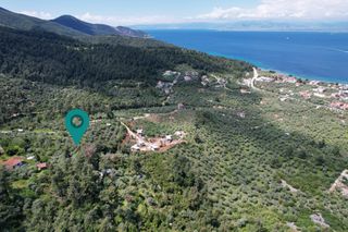 Αγροτεμάχια 1.353 τ.μ. για πώληση