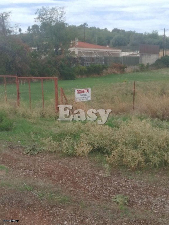Οικόπεδο 1.200 τ.μ. προς πώληση, Κέντρο Χαλκίδας