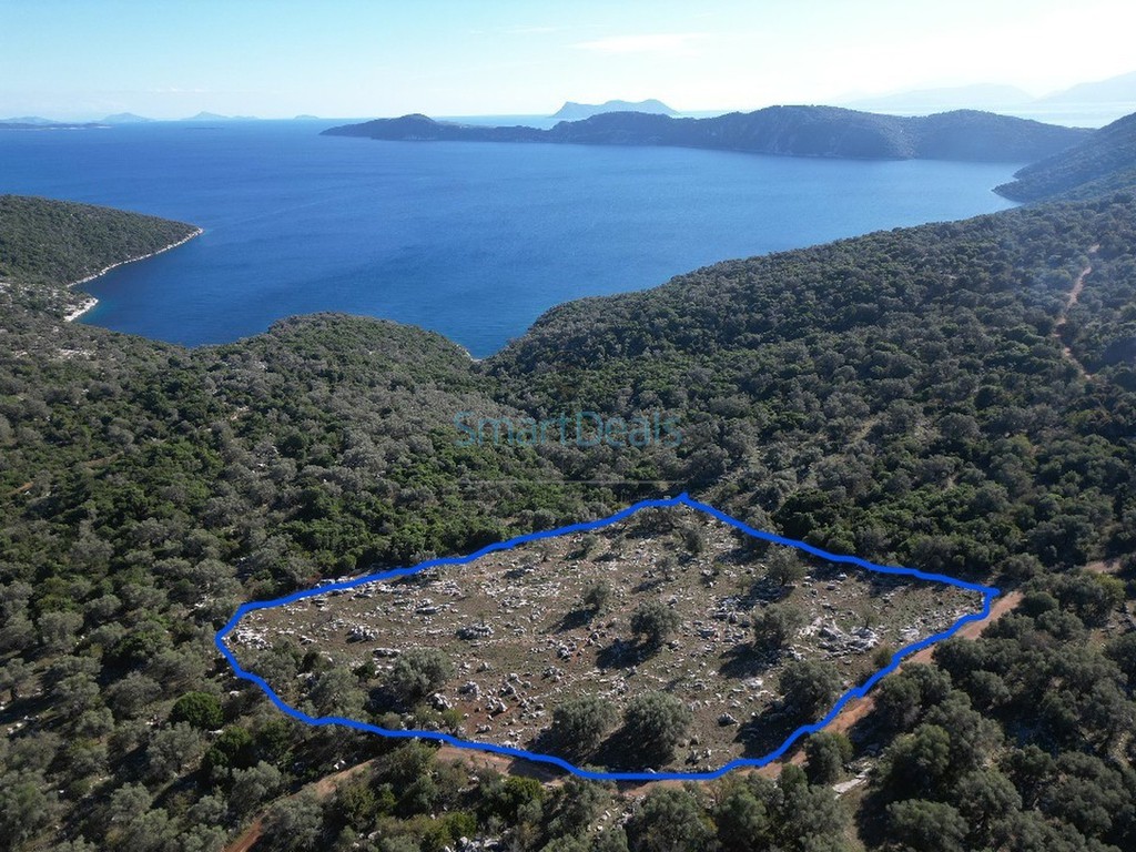 Αγροτεμάχια 12.274 τ.μ. προς πώληση, Σπαρτοχώρι