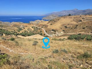Αγροτεμάχια 6.600 τ.μ. για πώληση, Ν. Ρεθύμνου, Φοινίκας-thumb-6