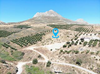 Αγροτεμάχια 6.600 τ.μ. για πώληση, Ν. Ρεθύμνου, Φοινίκας-thumb-2