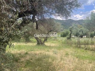 Οικόπεδο 917 τ.μ. για πώληση