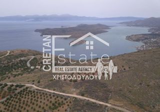 Αγροτεμάχια 14.000 τ.μ. για πώληση