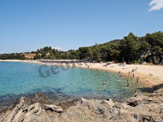 Αγροτεμάχια 18.748 τ.μ. για πώληση