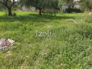 Οικόπεδο 508 τ.μ. για πώληση, Αχαΐα, Μεσσατίδα-thumb-4