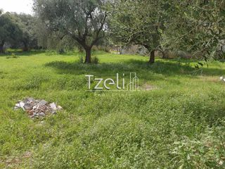 Οικόπεδο 508 τ.μ. για πώληση, Αχαΐα, Μεσσατίδα-thumb-2