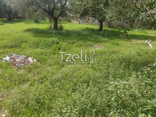 Οικόπεδο 508 τ.μ. για πώληση, Αχαΐα, Μεσσατίδα-thumb-1