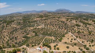 Αγροτεμάχια 25.227 τ.μ. για πώληση, Αργολίδα, Κρανίδι-thumb-17