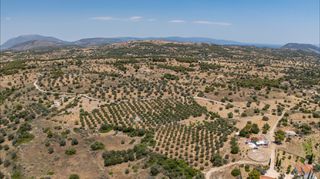 Αγροτεμάχια 25.227 τ.μ. για πώληση, Αργολίδα, Κρανίδι-thumb-14