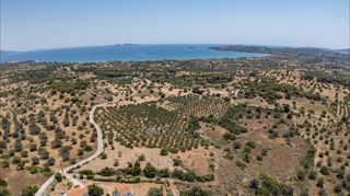 Αγροτεμάχια 25.227 τ.μ. για πώληση, Αργολίδα, Κρανίδι-thumb-11