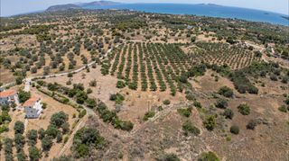 Αγροτεμάχια 25.227 τ.μ. για πώληση, Αργολίδα, Κρανίδι-thumb-19