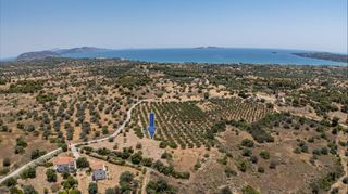 Αγροτεμάχια 25.227 τ.μ. για πώληση, Αργολίδα, Κρανίδι-thumb-2