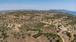 Αγροτεμάχια 25.227 τ.μ. για πώληση, Αργολίδα, Κρανίδι-thumb-13