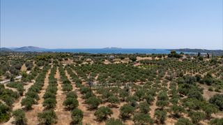 Αγροτεμάχια 25.227 τ.μ. για πώληση, Αργολίδα, Κρανίδι-thumb-4