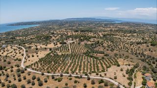 Αγροτεμάχια 25.227 τ.μ. για πώληση, Αργολίδα, Κρανίδι-thumb-8