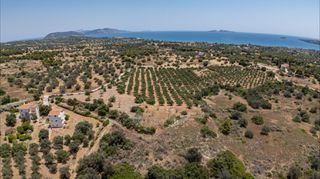 Αγροτεμάχια 25.227 τ.μ. για πώληση, Αργολίδα, Κρανίδι-thumb-20