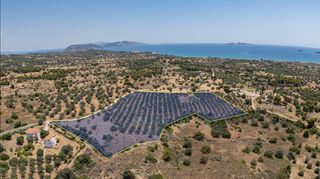 Αγροτεμάχια 25.227 τ.μ. για πώληση, Αργολίδα, Κρανίδι-thumb-1
