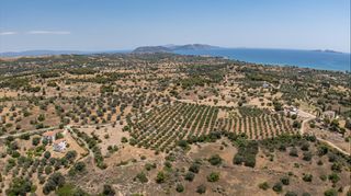 Αγροτεμάχια 25.227 τ.μ. για πώληση, Αργολίδα, Κρανίδι-thumb-10