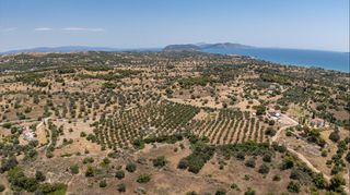 Αγροτεμάχια 25.227 τ.μ. για πώληση, Αργολίδα, Κρανίδι-thumb-12