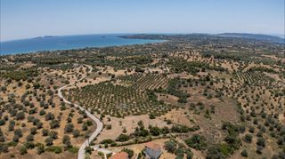 Αγροτεμάχια 25.227 τ.μ. για πώληση, Αργολίδα, Κρανίδι-thumb-9