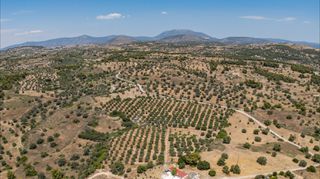 Αγροτεμάχια 25.227 τ.μ. για πώληση, Αργολίδα, Κρανίδι-thumb-16