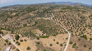 Αγροτεμάχια 25.227 τ.μ. για πώληση, Αργολίδα, Κρανίδι-thumb-18