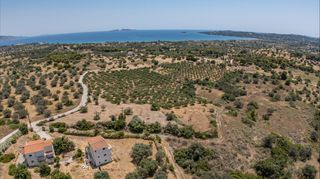 Αγροτεμάχια 25.227 τ.μ. για πώληση, Αργολίδα, Κρανίδι-thumb-5