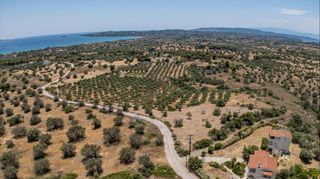 Αγροτεμάχια 25.227 τ.μ. για πώληση, Αργολίδα, Κρανίδι-thumb-7