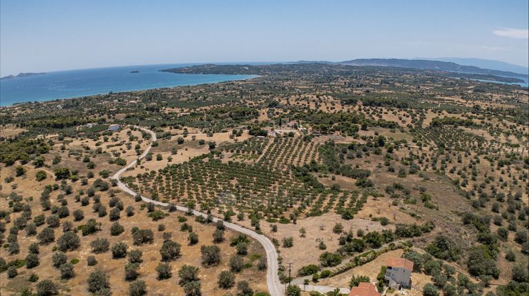 Αγροτεμάχια 25.227 τ.μ. για πώληση, Αργολίδα, Κρανίδι