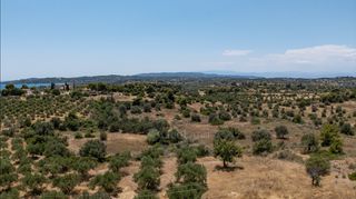 Αγροτεμάχια 25.227 τ.μ. για πώληση, Αργολίδα, Κρανίδι-thumb-6