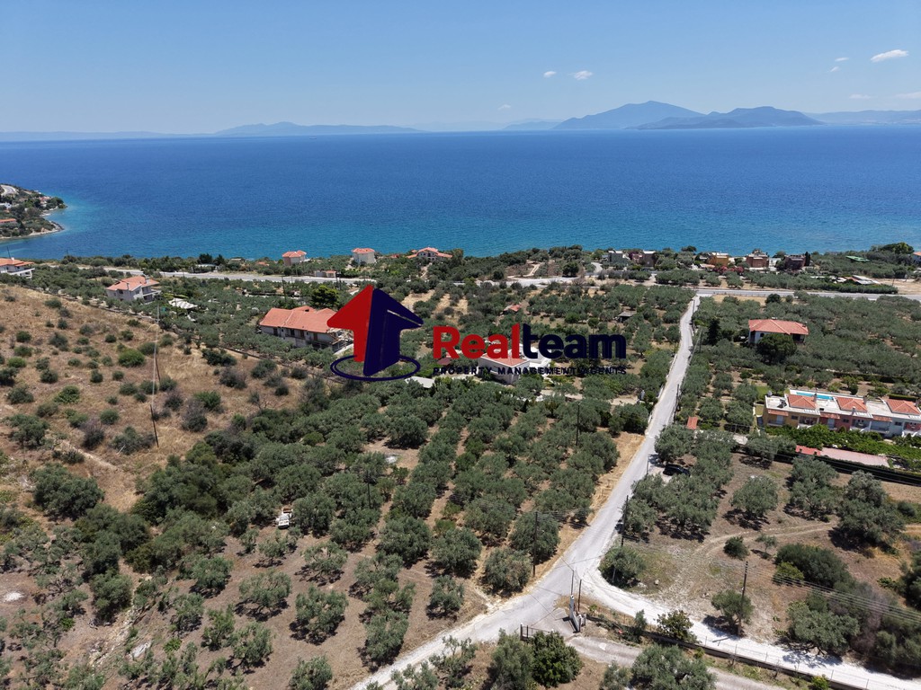 Οικόπεδο 4.000 τ.μ. πρός πώληση, Μαγνησία, Νέα Αγχίαλος