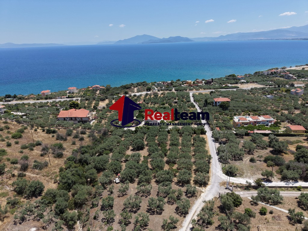 Οικόπεδο 4.000 τ.μ. πρός πώληση, Μαγνησία, Νέα Αγχίαλος