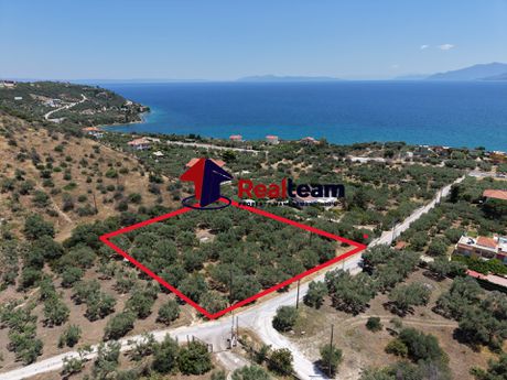 Land plot 4.000 sqm for sale