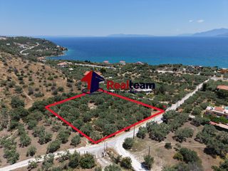 Οικόπεδο 4.000 τ.μ. για πώληση