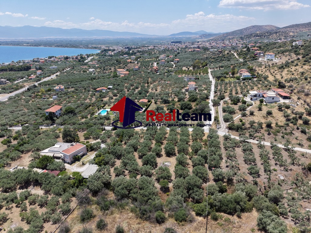 Οικόπεδο 4.000 τ.μ. πρός πώληση, Μαγνησία, Νέα Αγχίαλος