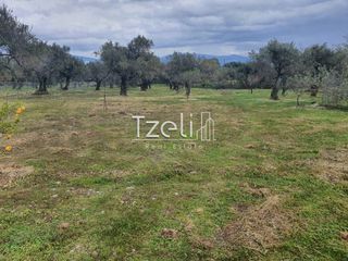 Οικόπεδο 934 τ.μ. για πώληση