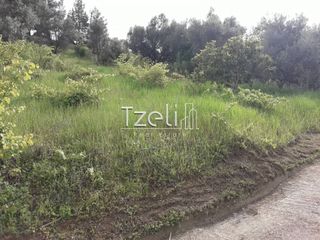 Οικόπεδο 502 τ.μ. για πώληση