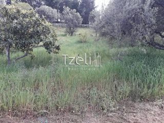 Οικόπεδο 1.754 τ.μ. για πώληση