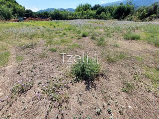 Οικόπεδο 2.000 τ.μ. για πώληση, Αχαΐα, Ρίο-thumb-16