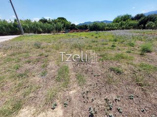 Οικόπεδο 2.000 τ.μ. για πώληση, Αχαΐα, Ρίο-thumb-18