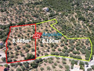 Αγροτεμάχια 5.500 τ.μ. για πώληση, Αρκαδία, Απόλλωνας-thumb-1