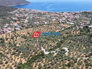 Αγροτεμάχια 5.500 τ.μ. για πώληση, Αρκαδία, Απόλλωνας-thumb-6