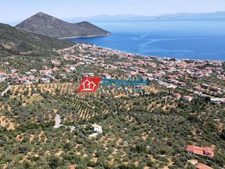 Αγροτεμάχια 5.500 τ.μ. για πώληση