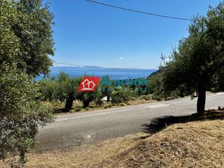 Αγροτεμάχια 5.500 τ.μ. για πώληση, Αρκαδία, Απόλλωνας-thumb-13
